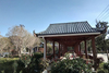 Wooden Pergola